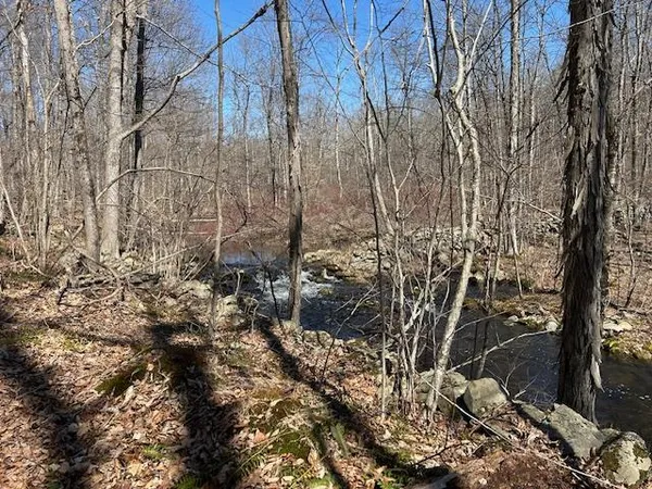 a view of a yard with trees