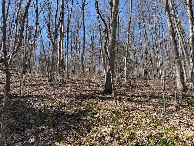 Es Pressler Road Wallkill, NY 12550 - Photo 24 of 32 a view of a backyard with large trees