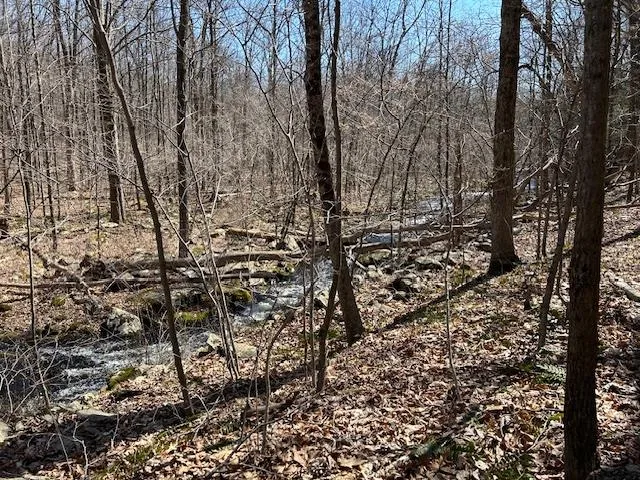 a view of a backyard of the house