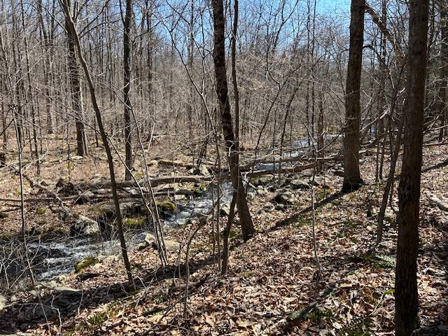 Es Pressler Road Wallkill, NY 12550 - Photo 26 of 32