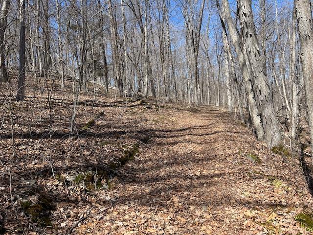 Es Pressler Road Wallkill, NY 12550 - Photo 27 of 32 a view of field with trees