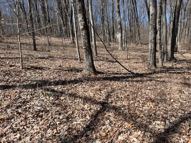 Es Pressler Road Wallkill, NY 12550 - Photo 29 of 32 a backyard of a house with lots of green space
