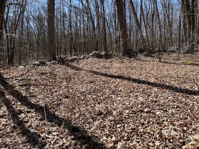 $495,000 | Es Pressler Road, Wallkill, NY 12550