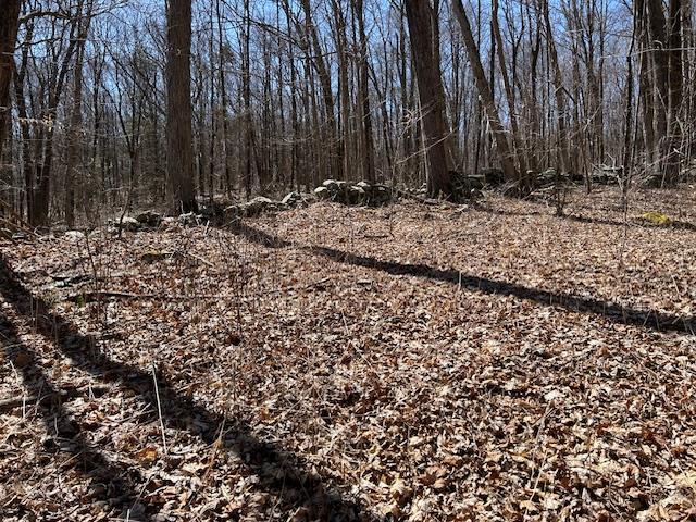 Es Pressler Road Wallkill, NY 12550 - Photo 30 of 32 a view of outdoor space with trees