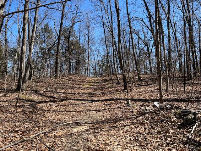 Es Pressler Road Wallkill, NY 12550 - Photo 31 of 32 a view of a backyard of the house