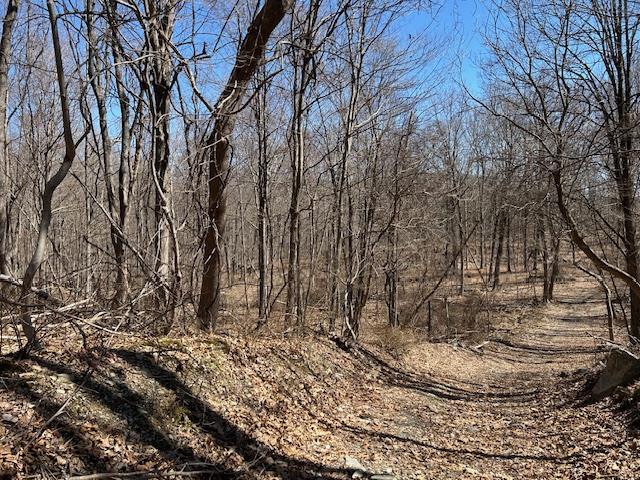 Es Pressler Road Wallkill, NY 12550 - Photo 6 of 32 a view of a yard