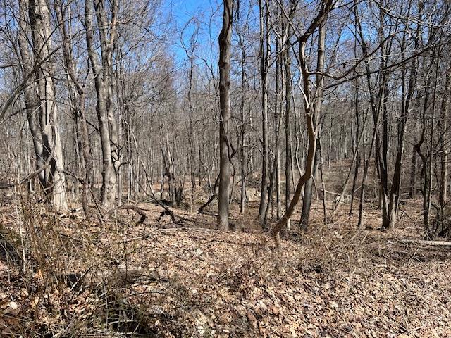 Es Pressler Road Wallkill, NY 12550 - Photo 7 of 32