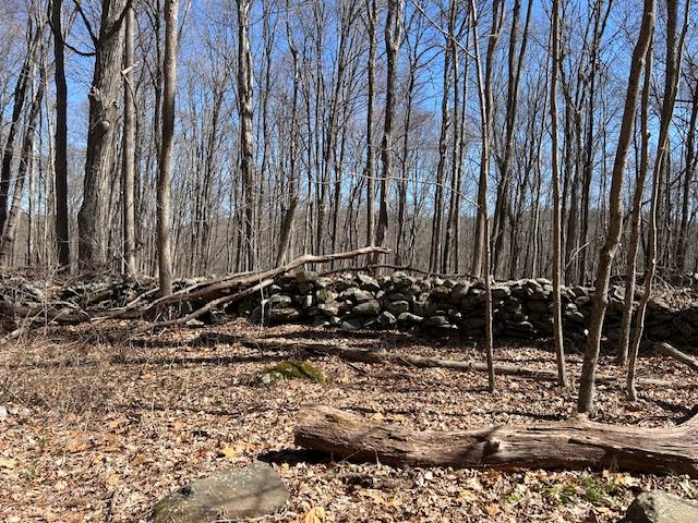 Es Pressler Road Wallkill, NY 12550 - Photo 8 of 32 a view of a garden with a bench