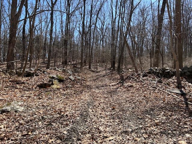 Es Pressler Road Wallkill, NY 12550 - Photo 9 of 32 a view of a forest with trees
