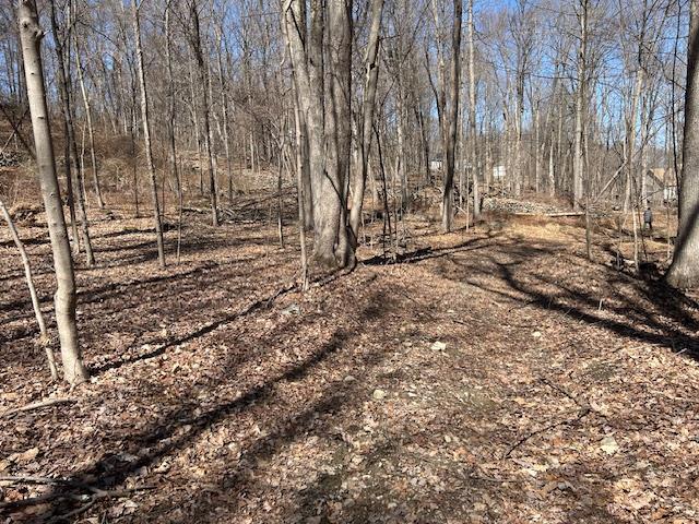 Es Pressler Road Wallkill, NY 12550 - Photo 10 of 32 a view of a backyard with trees