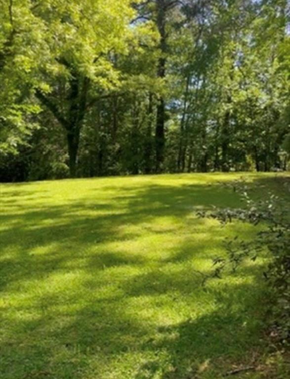 3300 Cascade Road Atlanta, GA 30311 - Photo 4 of 11 Gallery Image 4