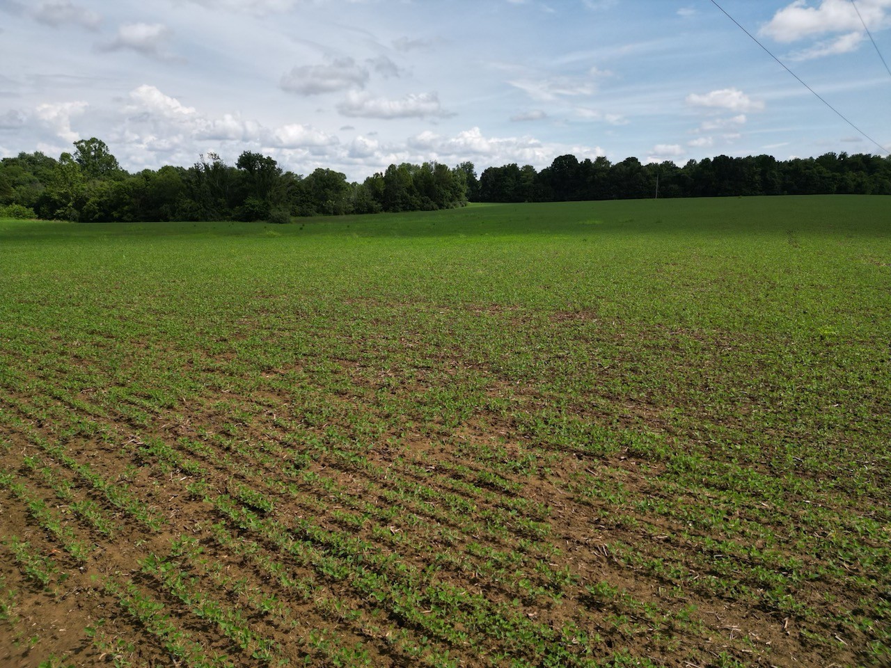 430 Carl Williams Road Crofton, KY 42217 - Photo 3 of 4 Gallery Image 3