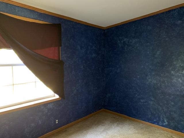5239 Turtle Road Turner, MI 48765 - Photo 6 of 28 1893000-5.JPG