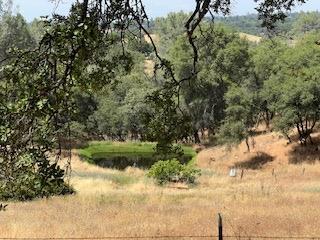 11151 Valle Vista Ct