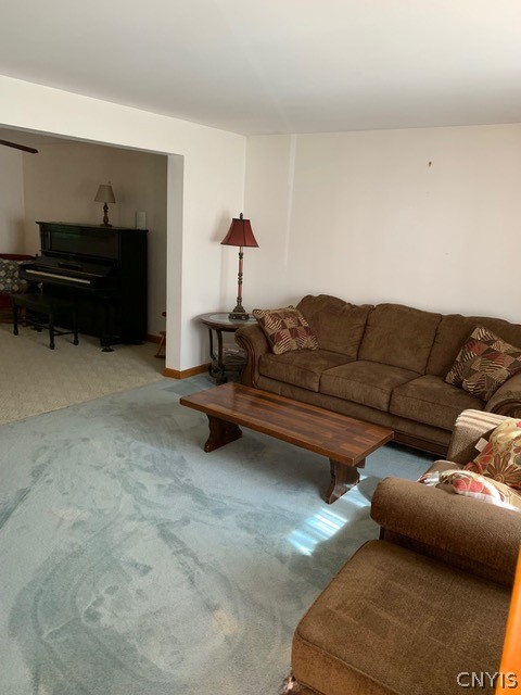 384 Pardeeville Road Cold Brook, NY 13324 - Photo 7 of 20