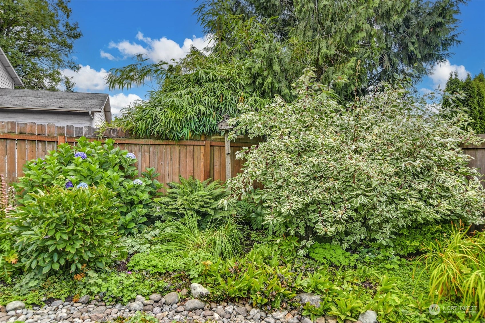 823 South 28th Court Renton, WA 98055 - Photo 35 of 37 a backyard of a house with lots of green space