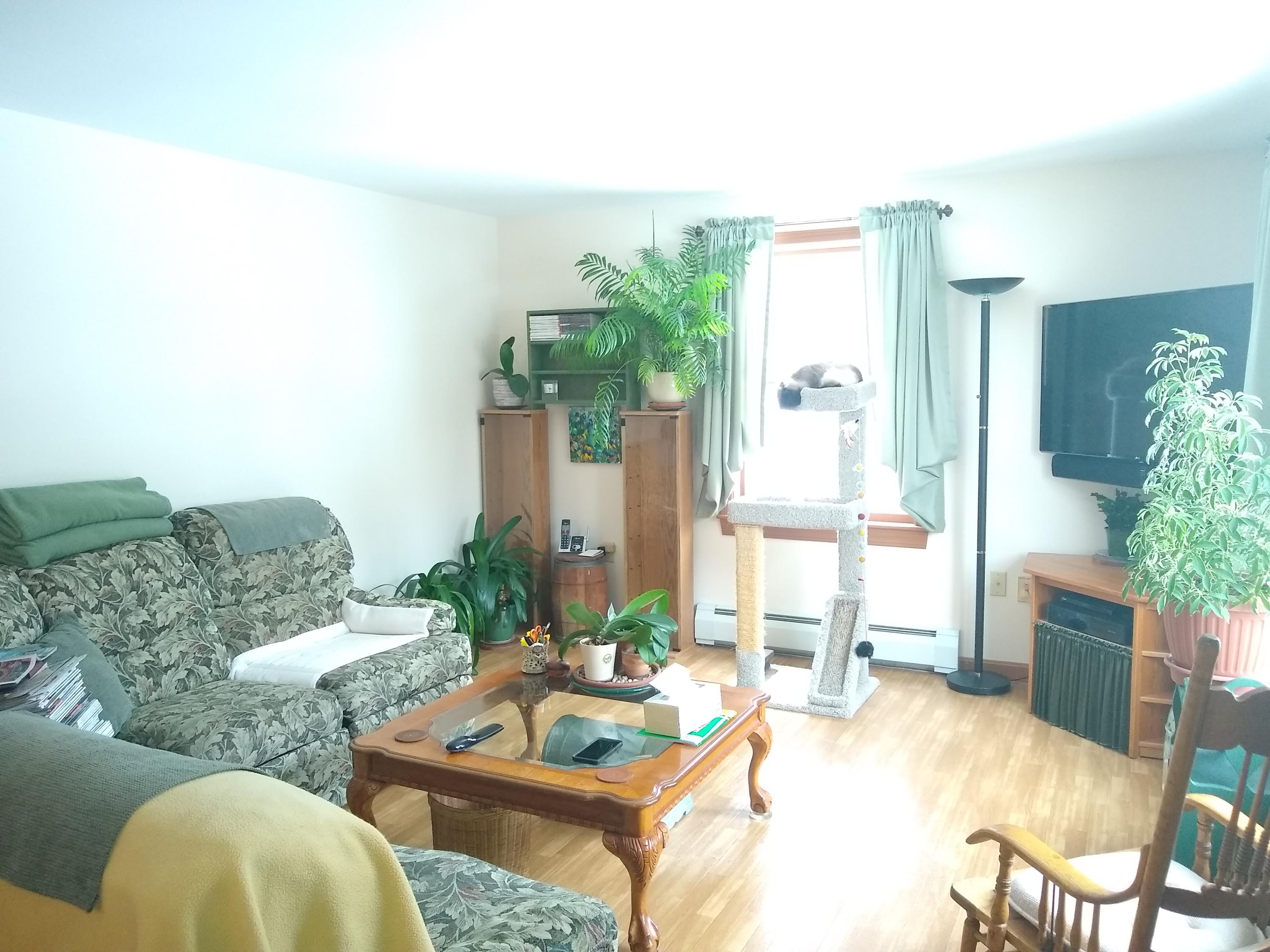 946 Beckwith Road Cornville, ME 04976 - Photo 11 of 27 IMG_20200330_152857134
