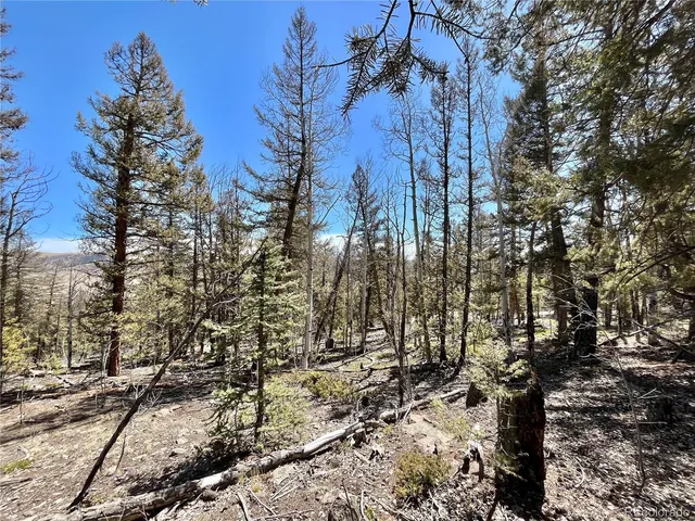 a view of outdoor space with deck and trees