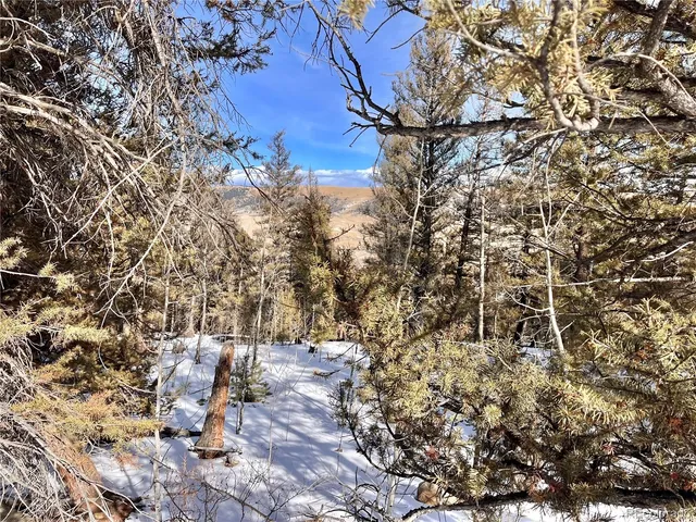 a view of house with trees in the background