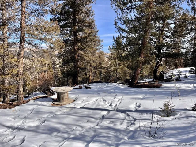 a view of backyard with green space