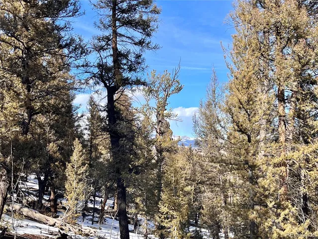 a view of outdoor space with lots of trees in the background