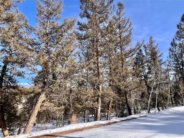 $55,000 | 2834 Middle Fork Vista, Fairplay, CO 80440