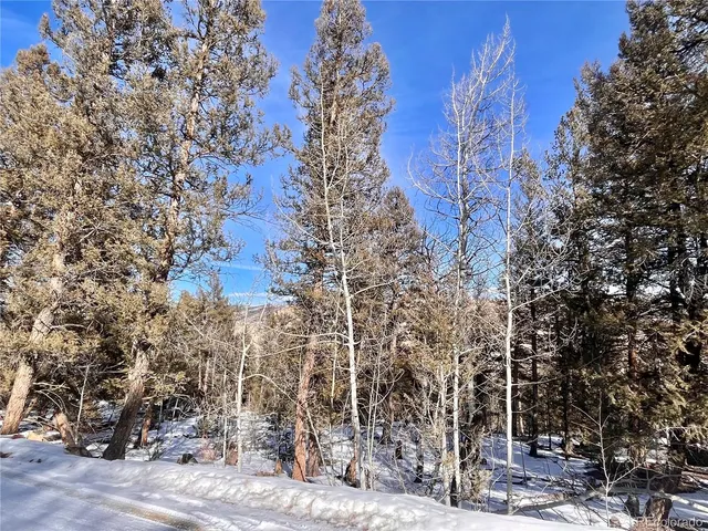 $55,000 | 2834 Middle Fork Vista, Fairplay, CO 80440