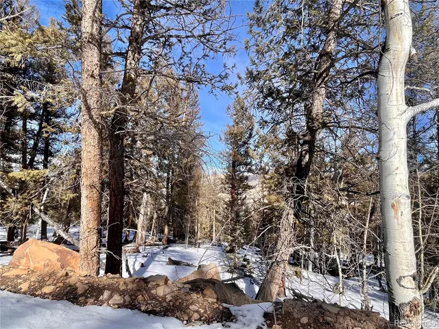 $55,000 | 2834 Middle Fork Vista, Fairplay, CO 80440