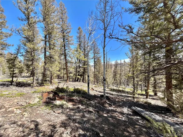 a view of a yard with a tree