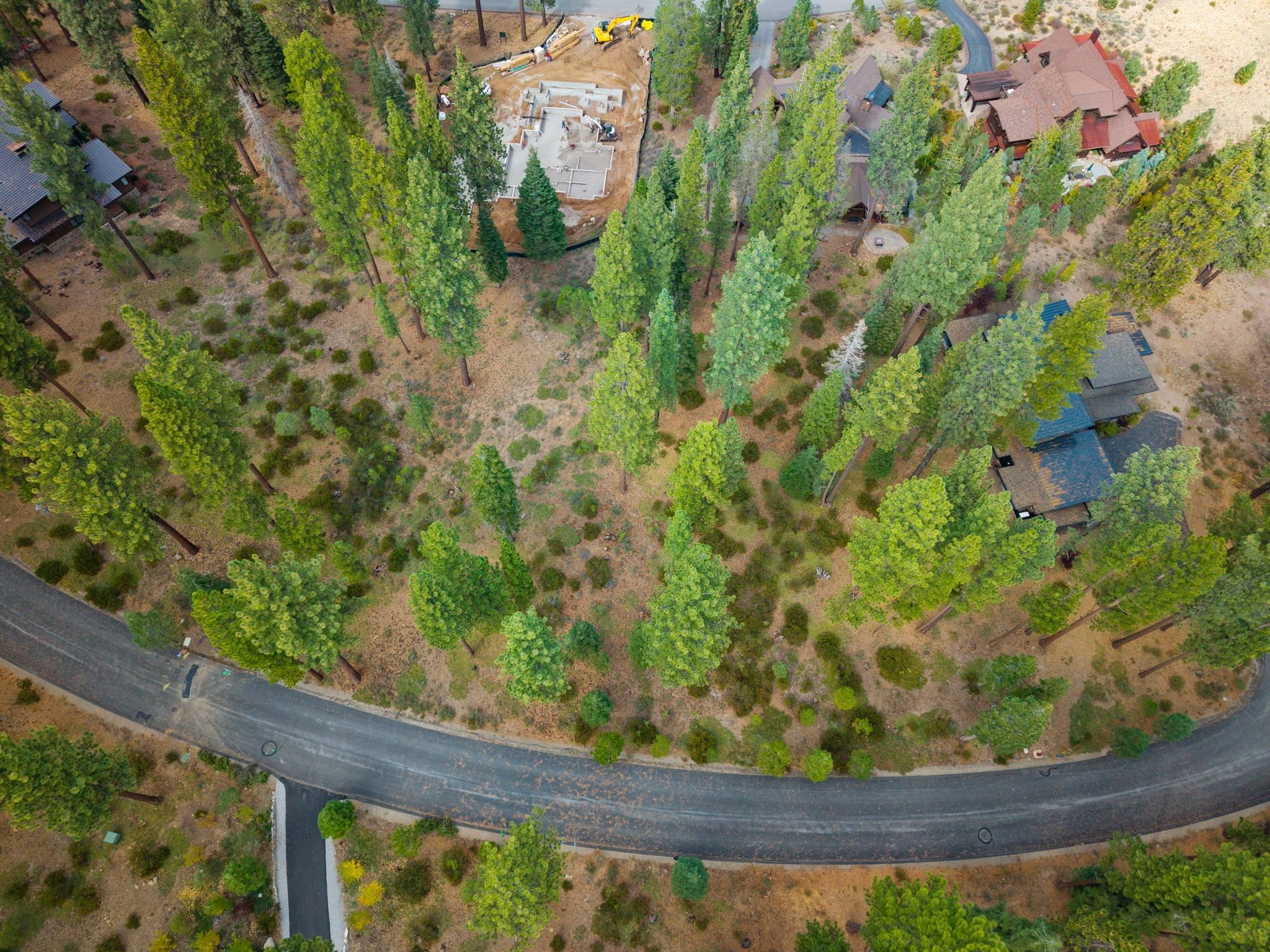 11317 Elle Ellen Truckee, CA 96161 - Photo 11 of 24 a view of a yard