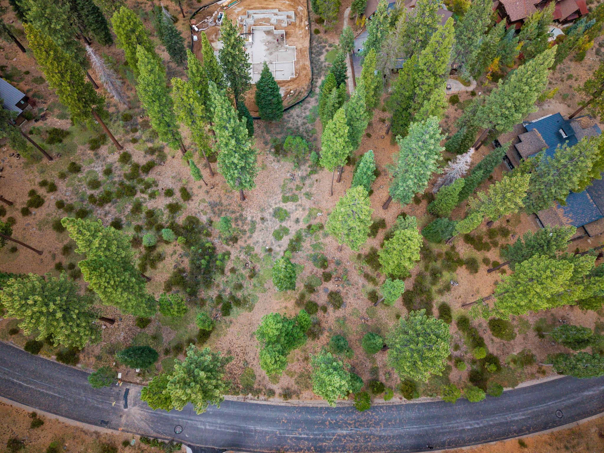 11317 Elle Ellen Truckee, CA 96161 - Photo 14 of 24 a view of a garden with a tree