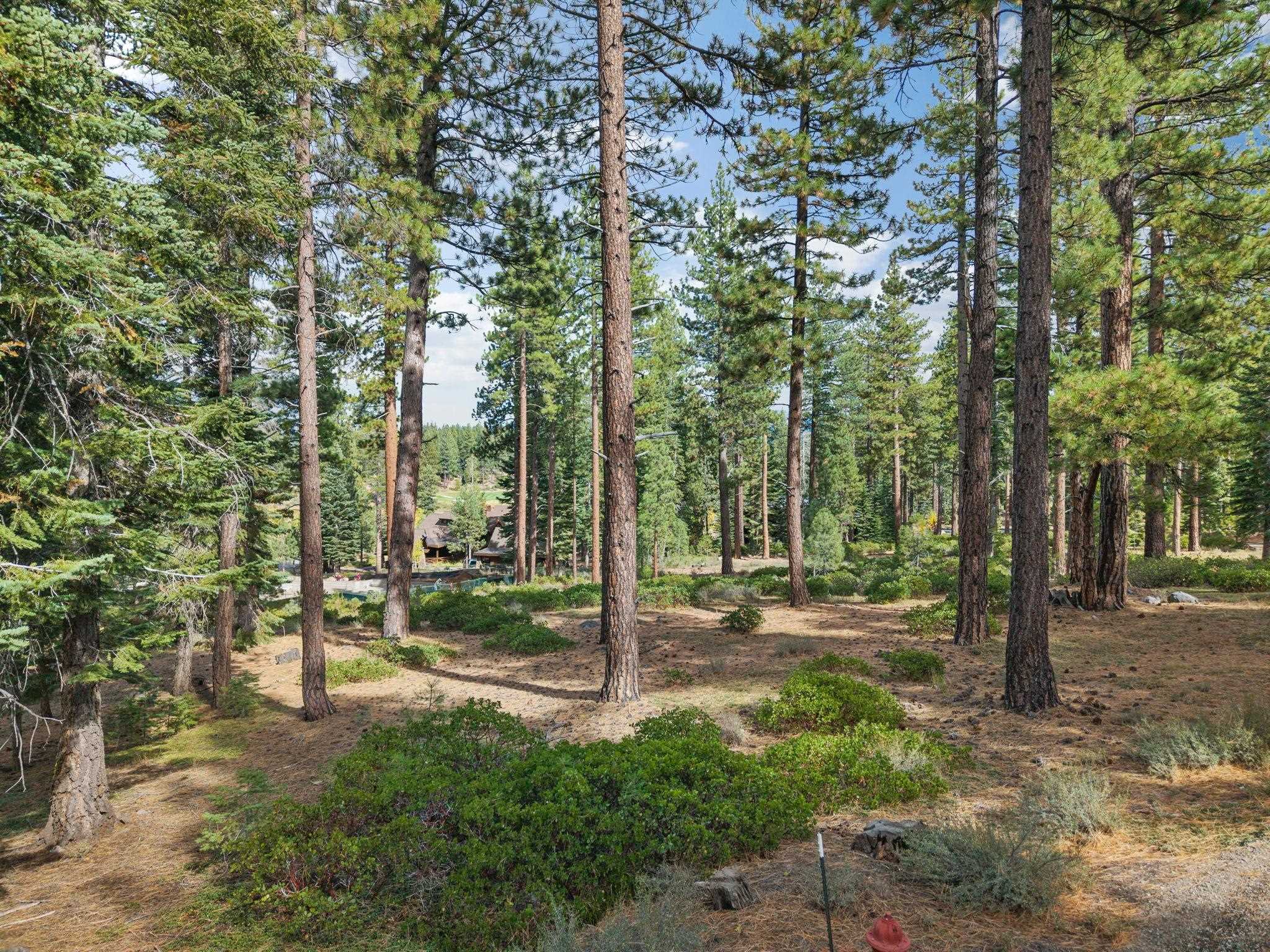 11317 Elle Ellen Truckee, CA 96161 - Photo 2 of 24 a view of outdoor space with deck and trees