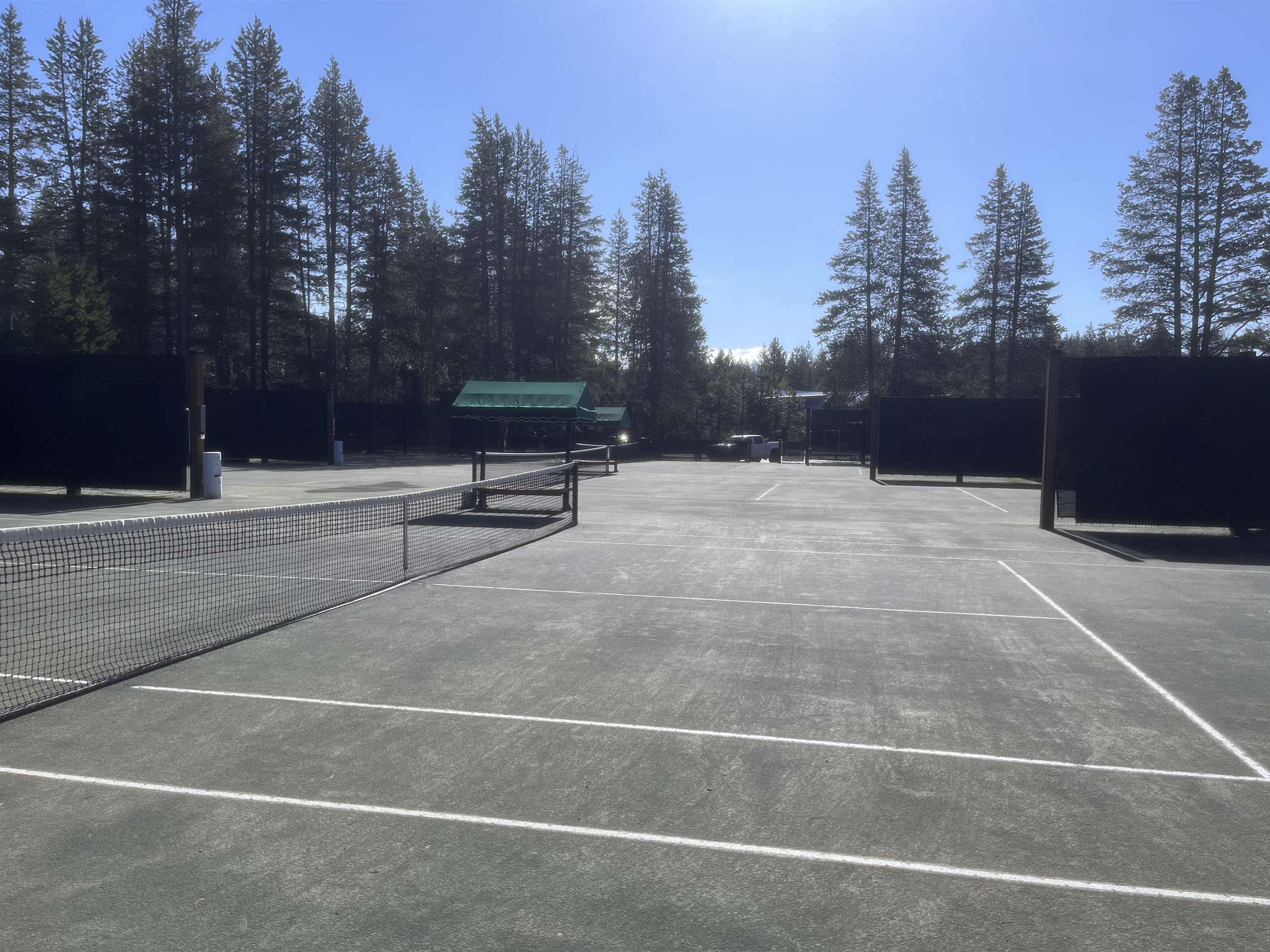 11317 Elle Ellen Truckee, CA 96161 - Photo 24 of 24 a view of backyard with trees