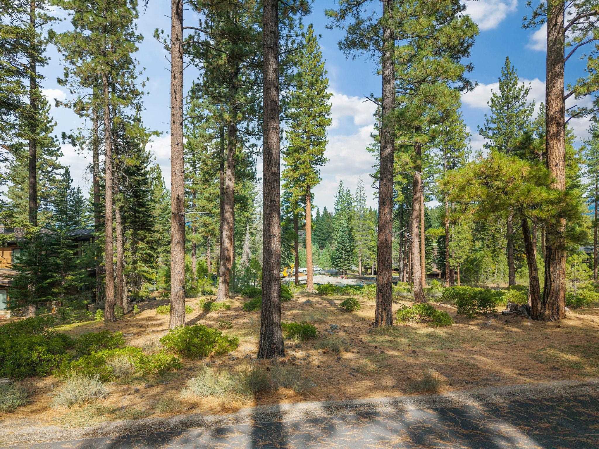 11317 Elle Ellen Truckee, CA 96161 - Photo 4 of 24 a view of outdoor space with trees