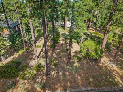 a backyard of a house with lots of plants and trees