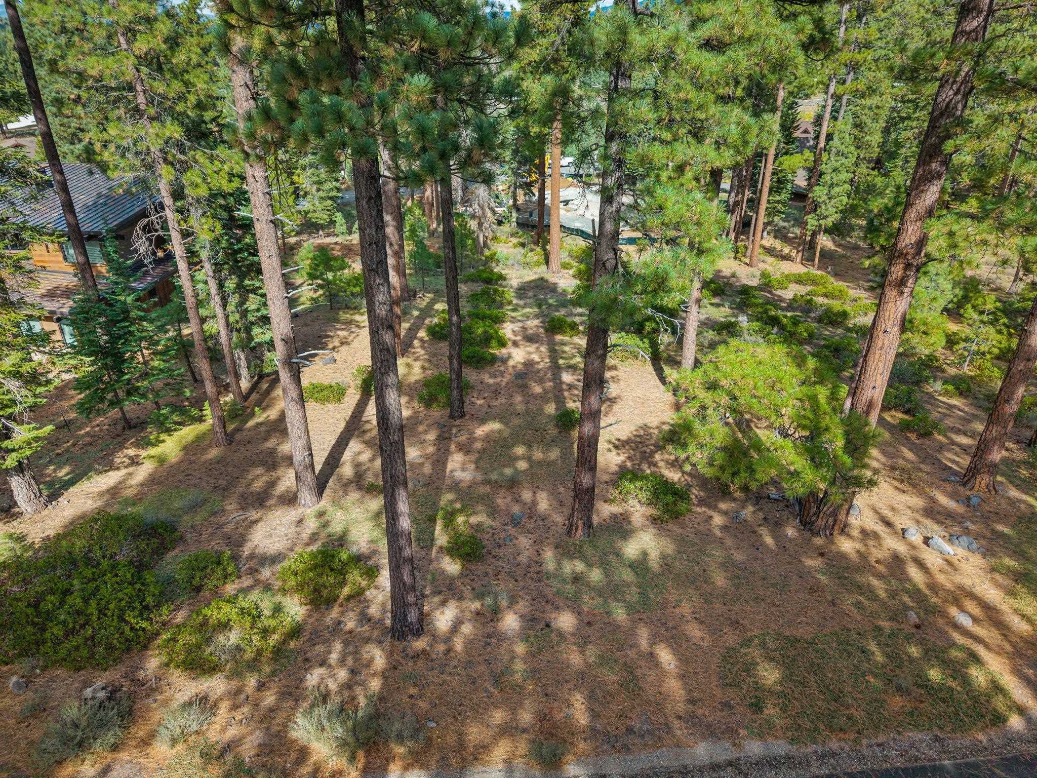 11317 Elle Ellen Truckee, CA 96161 - Photo 6 of 24 a backyard of a house with lots of plants and trees