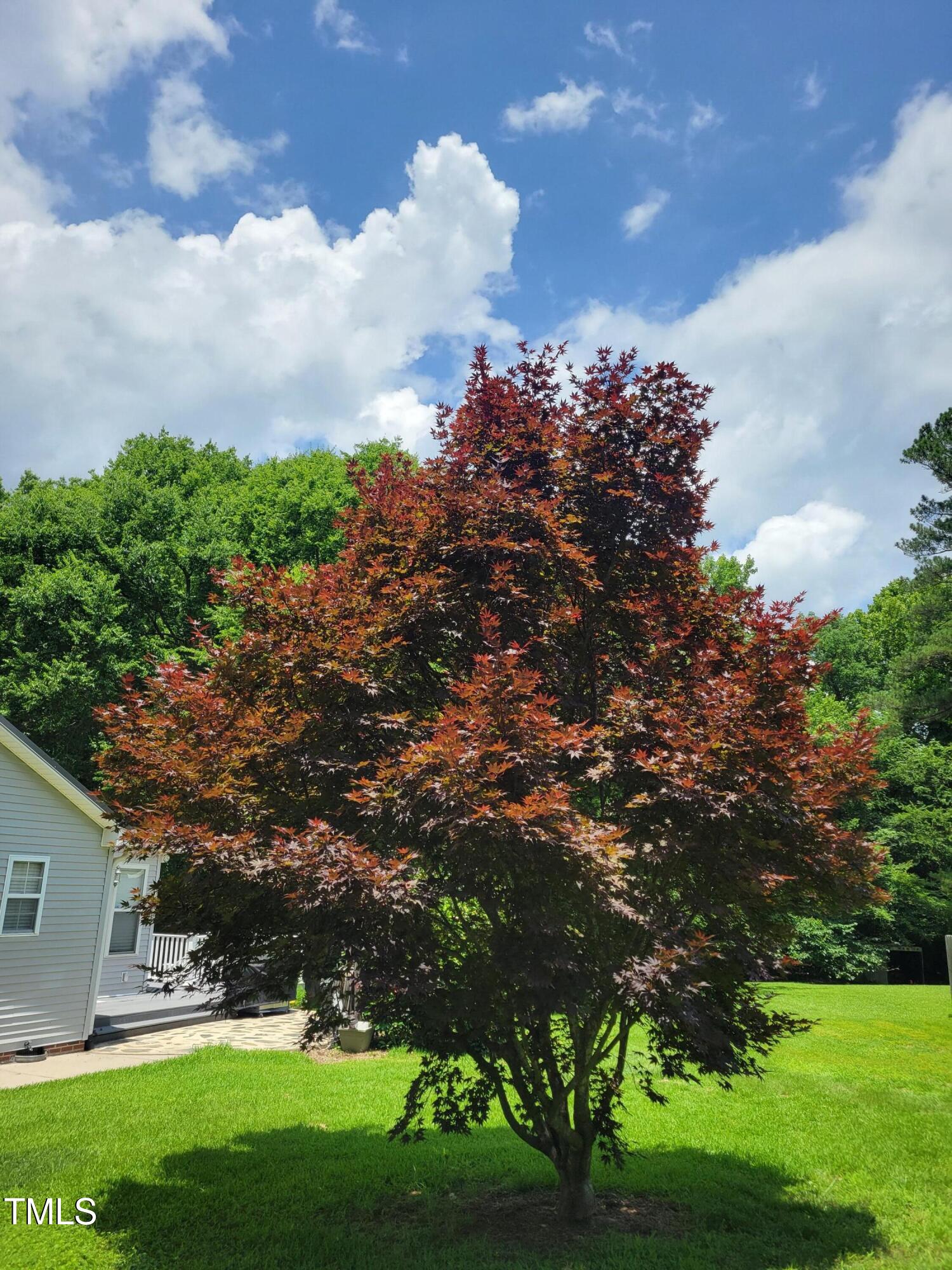 78 Phil Johnson Road Sanford, NC 27330 - Photo 5 of 47 a view of a big yard