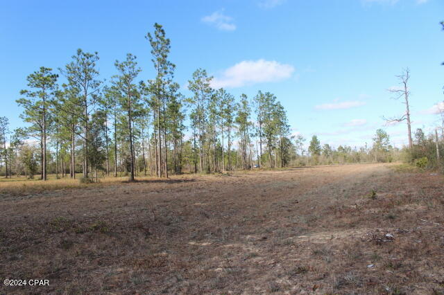 5015 Northwest County Road 274 Altha, FL 32421 - Photo 12 of 15
