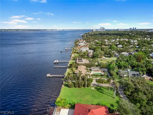 a view of a flower in a garden
