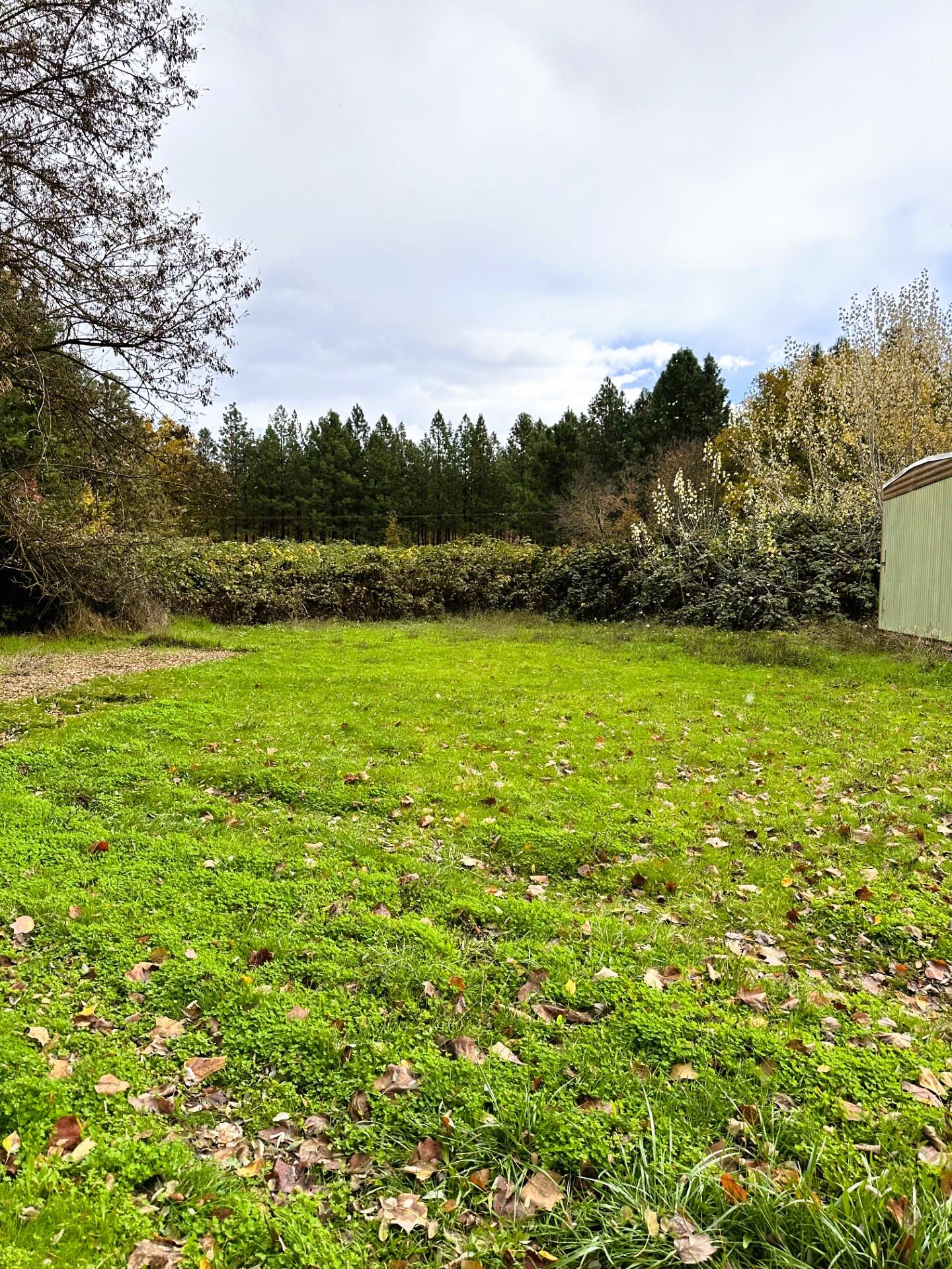 270 Upper River Road Gold Hill, OR 97525 - Photo 4 of 39 thumbnail_IMG_8003