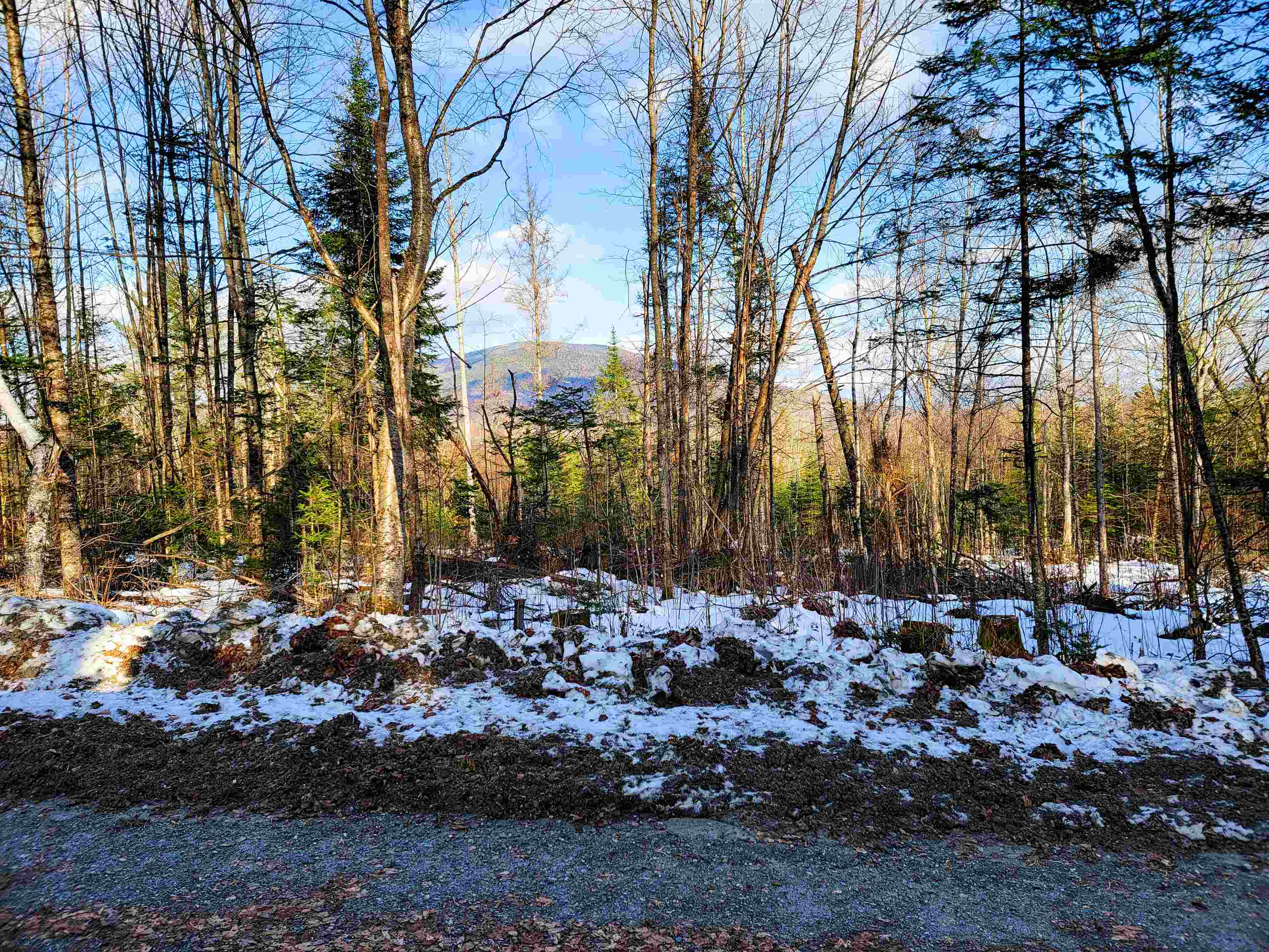 1659 Sims Hill Road Lemington, VT 05903 - Photo 26 of 39
