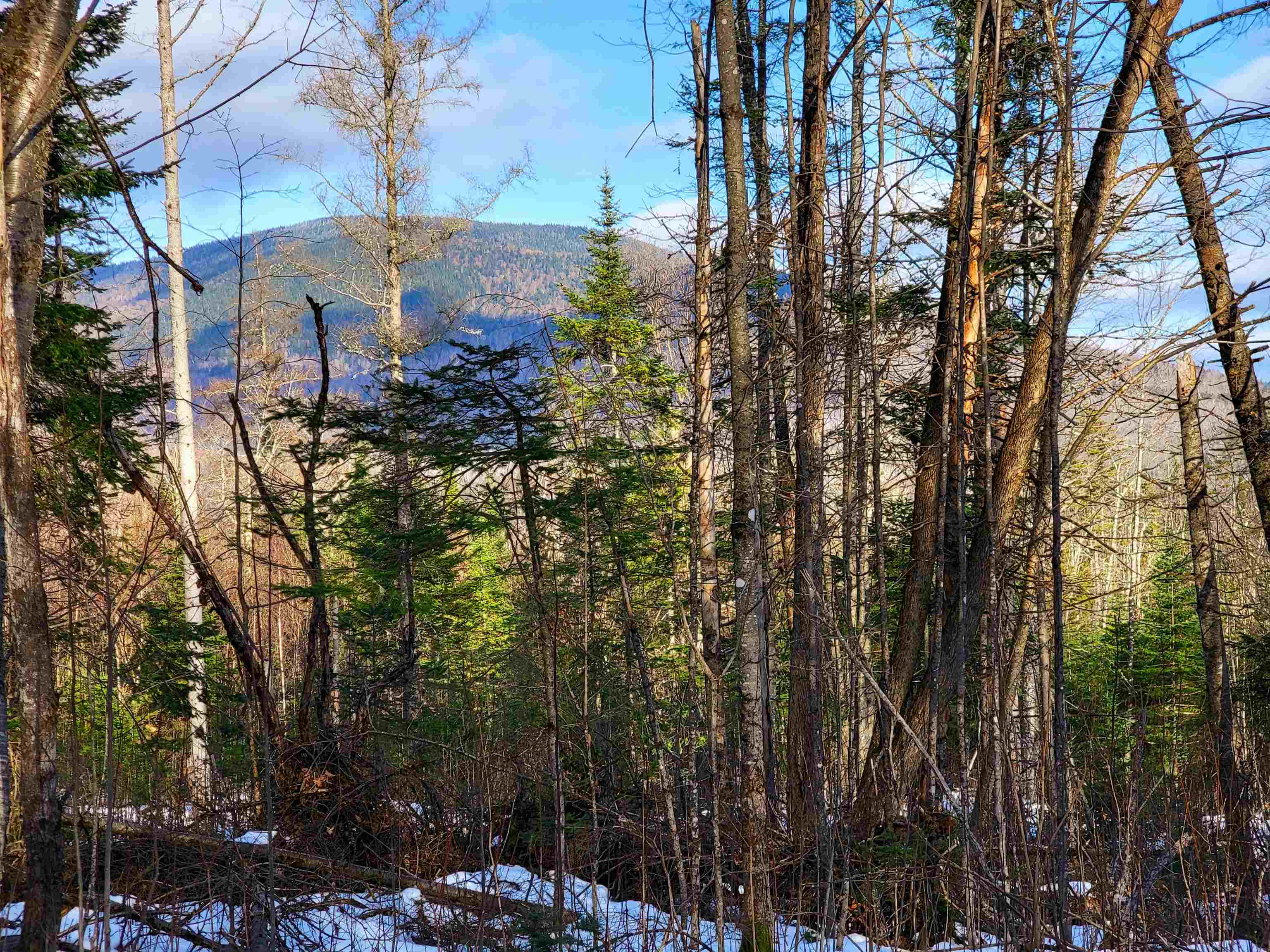 1659 Sims Hill Road Lemington, VT 05903 - Photo 36 of 39