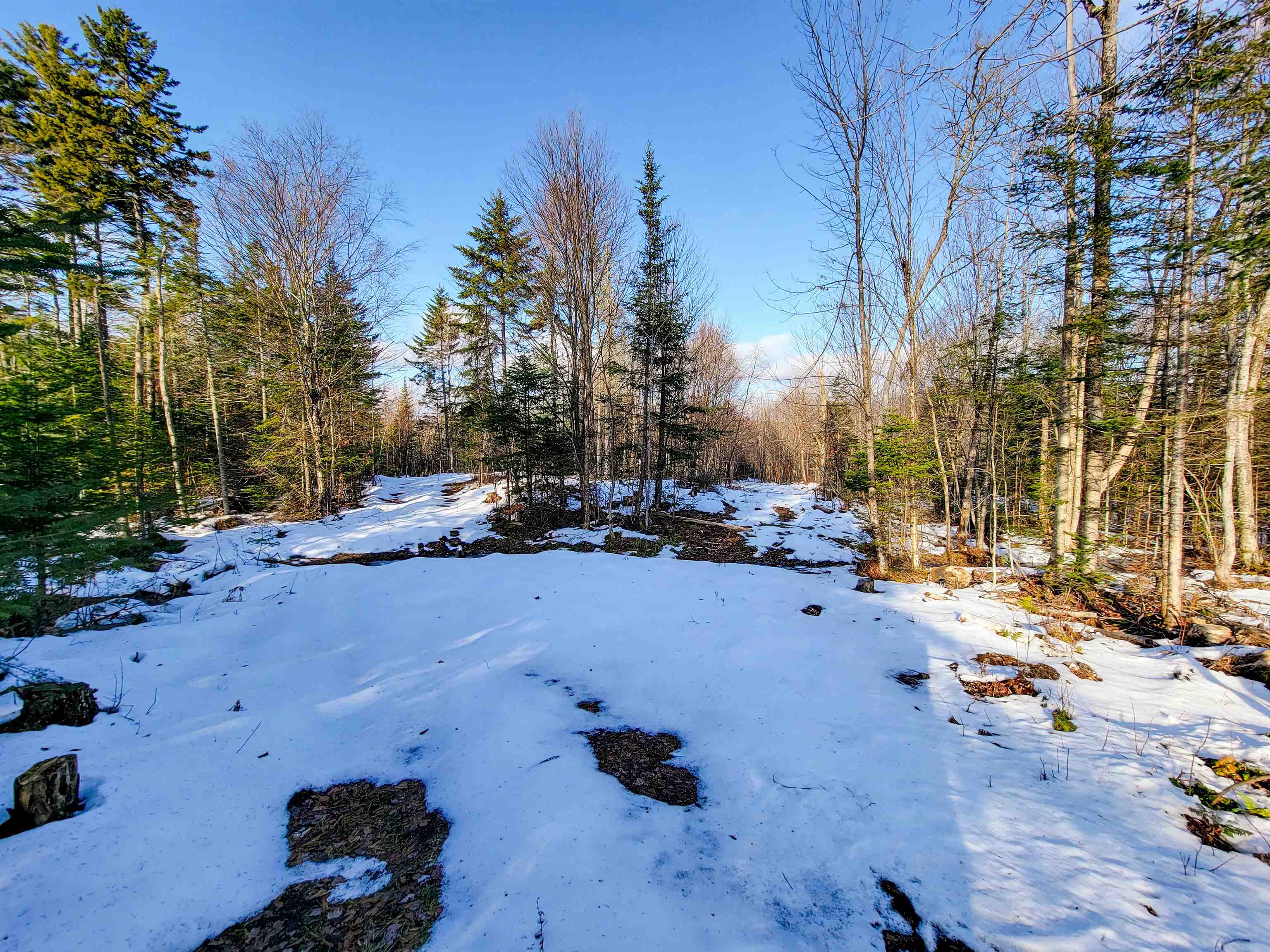 1659 Sims Hill Road Lemington, VT 05903 - Photo 4 of 39