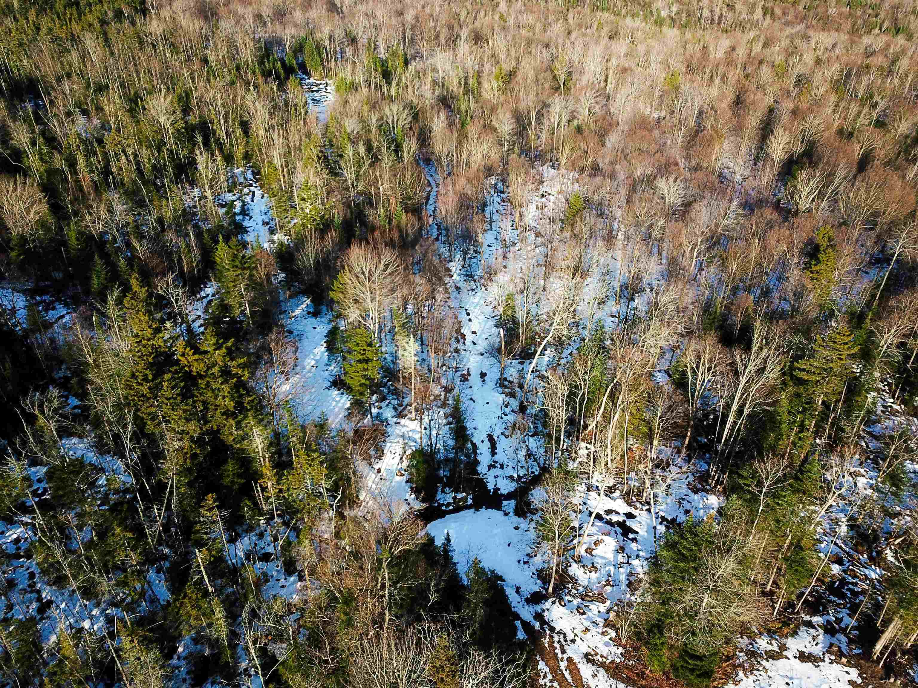 1659 Sims Hill Road Lemington, VT 05903 - Photo 5 of 39