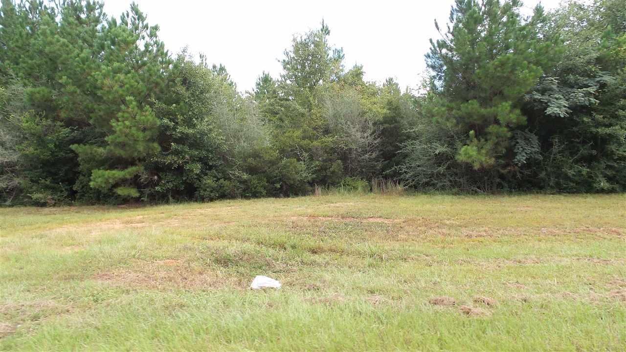 182 Jay Jay, FL 32565 - Photo 3 of 20 Gallery Image 3