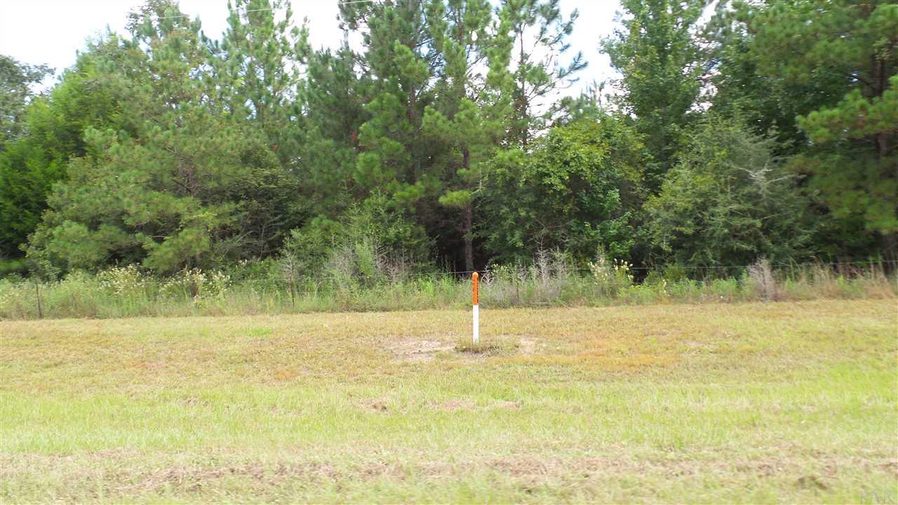 182 Jay Jay, FL 32565 - Photo 4 of 20 Gallery Image 4