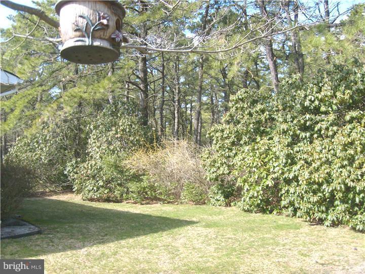 133 B Sunset Road, Unit B Whiting, NJ 08759 - Photo 3 of 13 Exterior Back