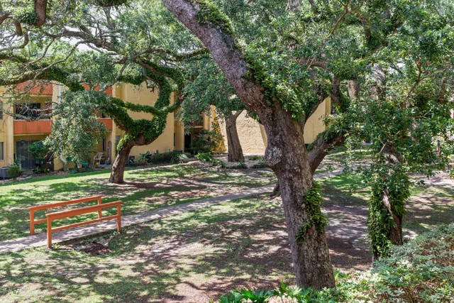a backyard of a house with lots of green space