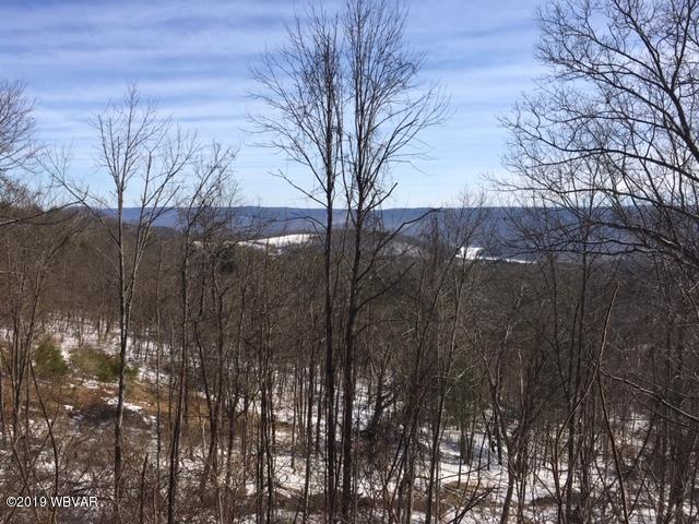 659 Schencks Grove Road Howard, PA 16841 - Photo 2 of 11 View from deck