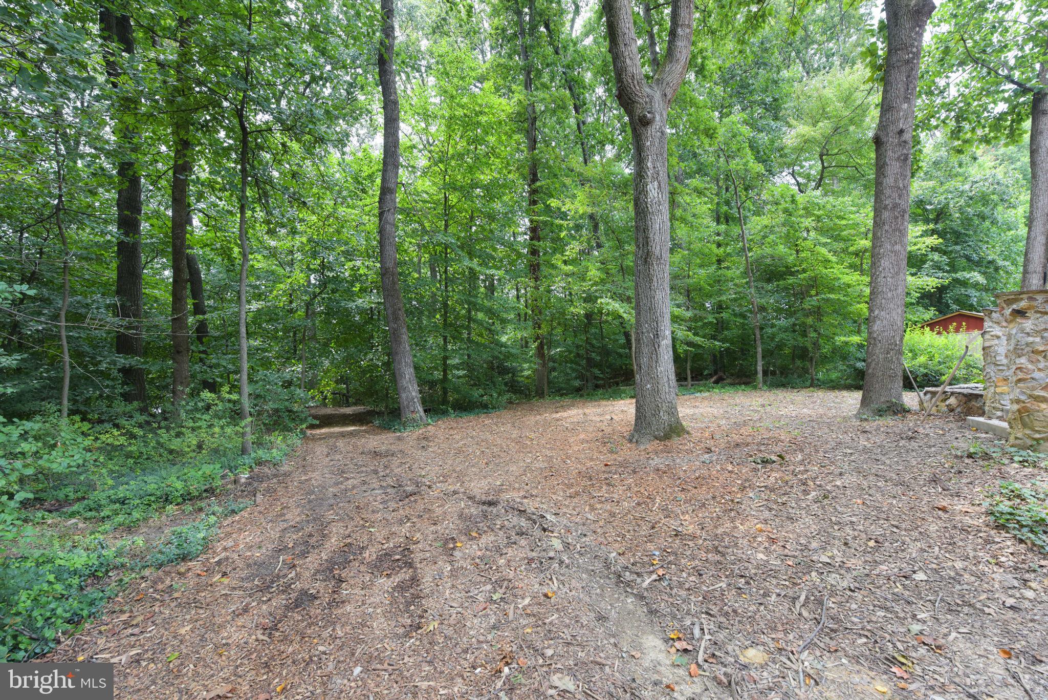 8919 Arley Drive Springfield, VA 22153 - Photo 40 of 54